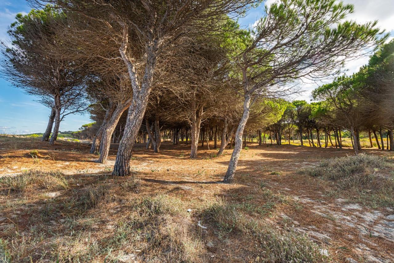 Affittasardegna-Case Pompia Siniscola Extérieur photo